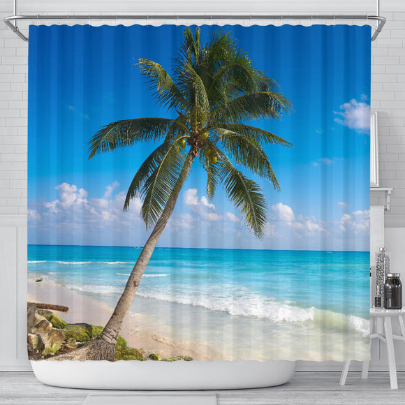 # Shower Curtain 01